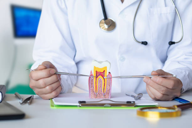 Best Emergency Dental Care for Abscessed Tooth in Paoli, IN